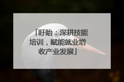 盱眙：深耕技能培训，赋能就业增收产业发展